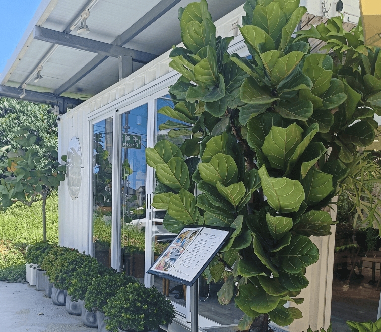 台中沙鹿森林系療癒咖啡屋~兔子採櫻桃咖啡Bunny Pick Cherry