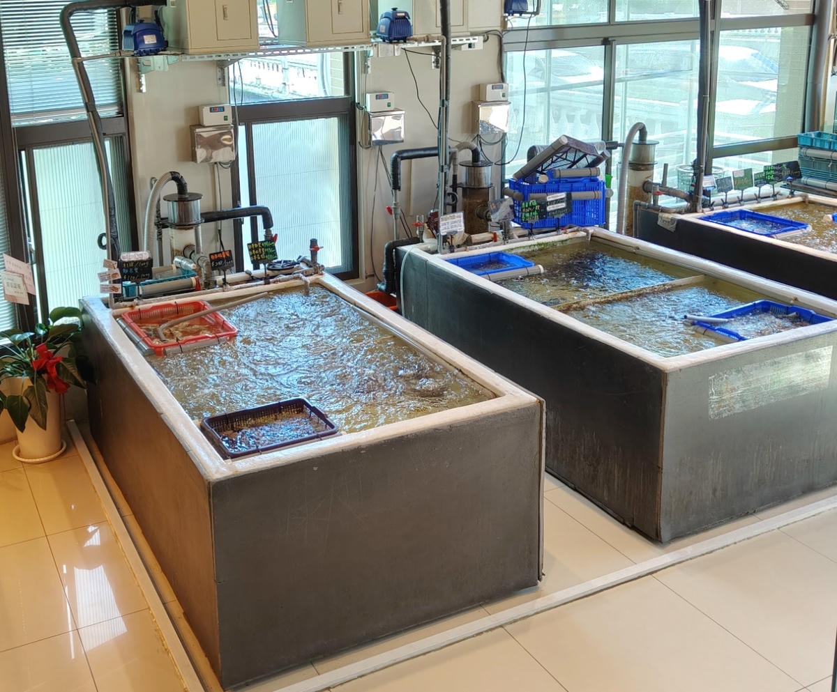 竹北宗初水產|活體海鮮現撈、A5和牛現切,冷凍宅配+代客料理一次滿足 - 第2張圖